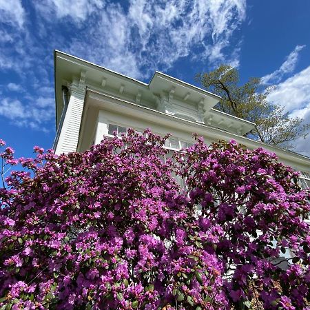 Mount Vision Bloom Farm Guesthouse المظهر الخارجي الصورة
